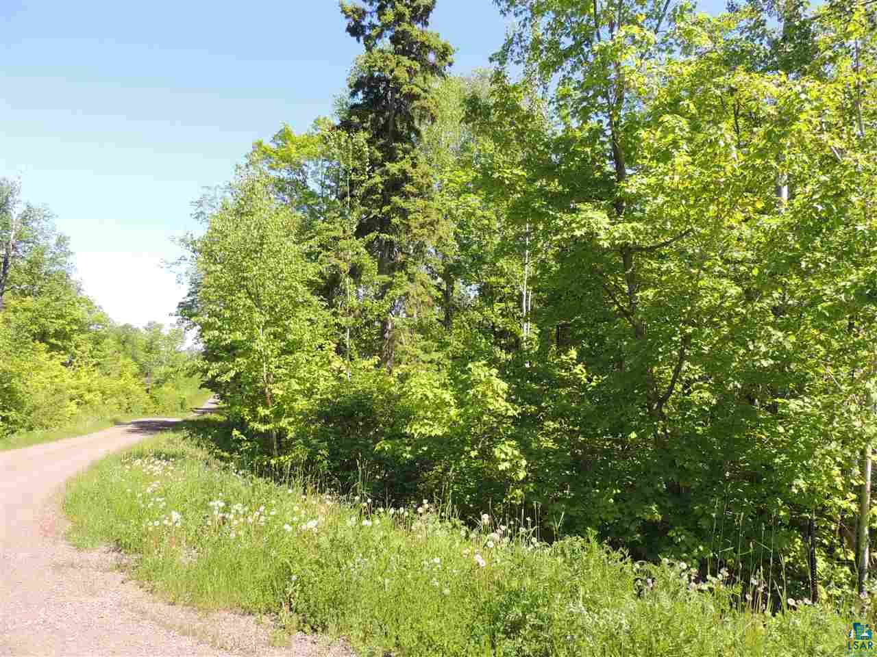 X29 Isak Ridge Lutsen, MN 55612 - Photo 3 of 13