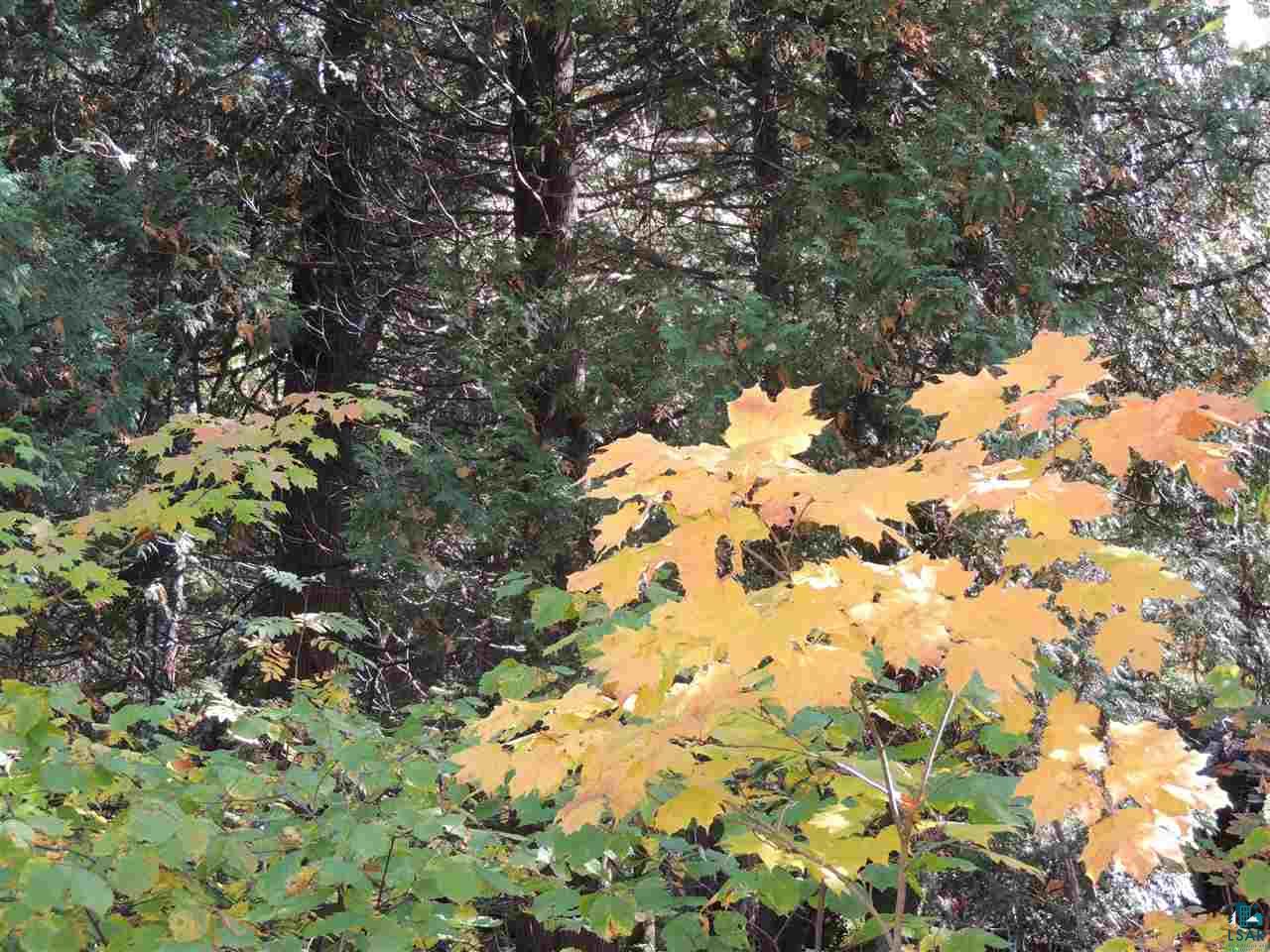 X29 Isak Ridge Lutsen, MN 55612 - Photo 4 of 13
