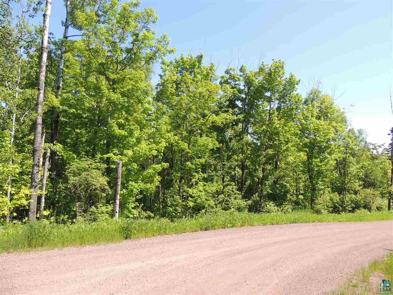 X29 Isak Ridge Lutsen, MN 55612 - Photo 5 of 13
