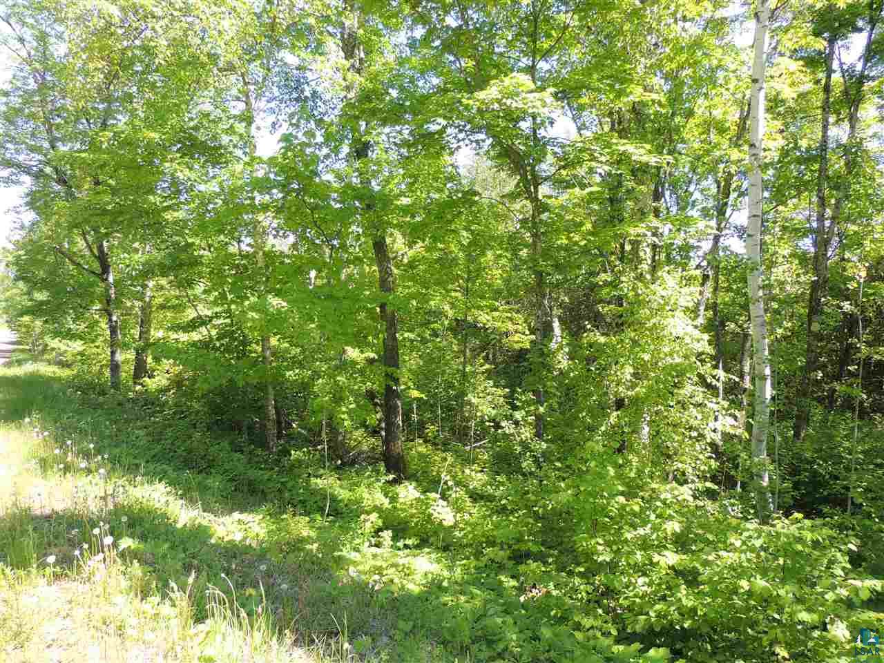 X29 Isak Ridge Lutsen, MN 55612 - Photo 6 of 13