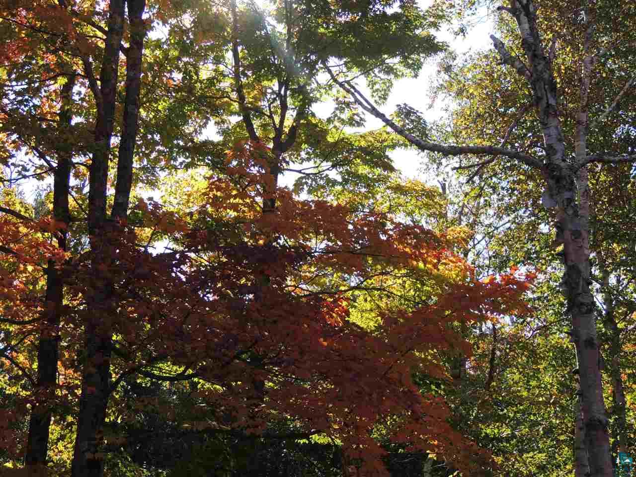 X29 Isak Ridge Lutsen, MN 55612 - Photo 8 of 13
