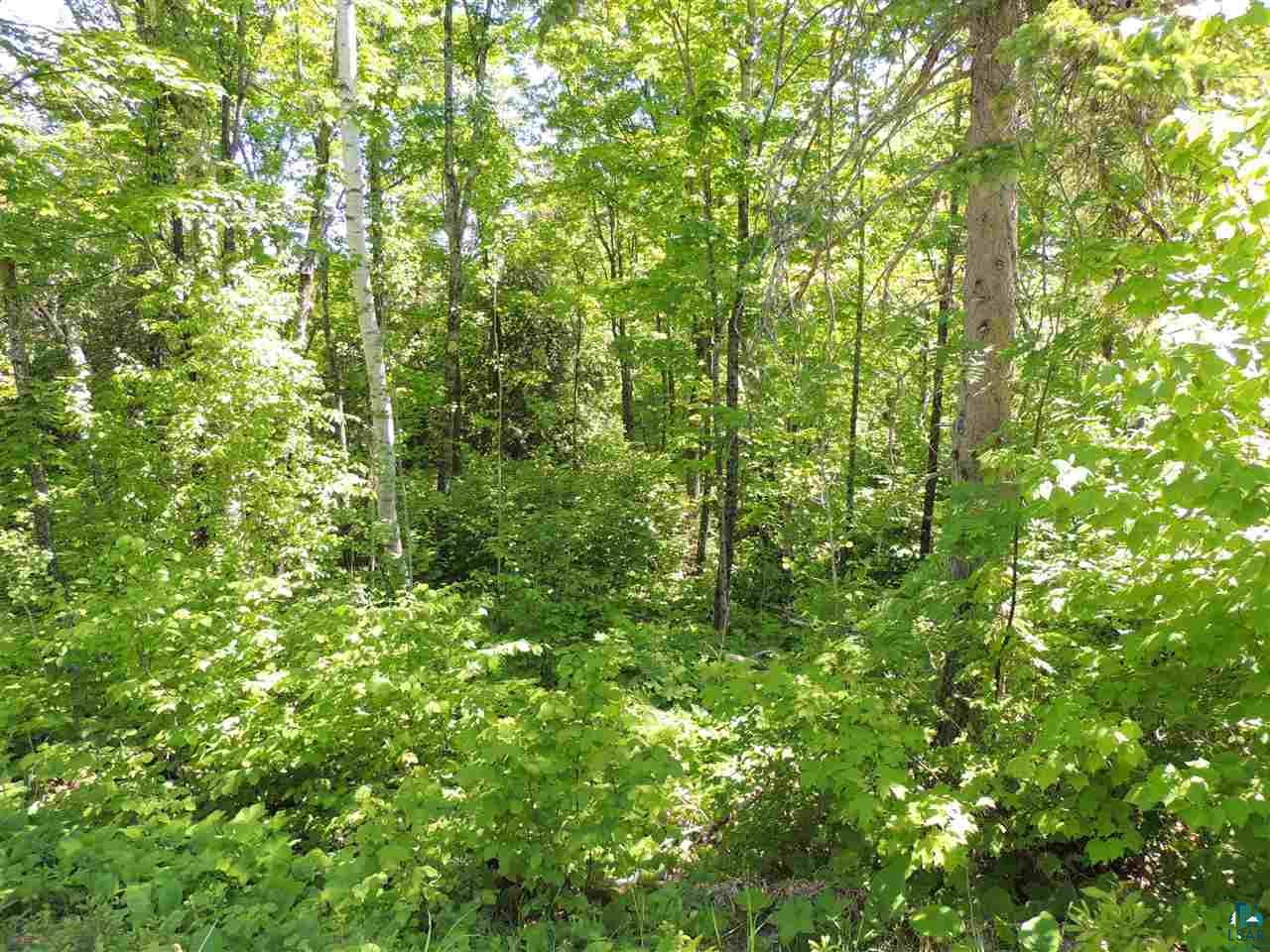 X29 Isak Ridge Lutsen, MN 55612 - Photo 9 of 13