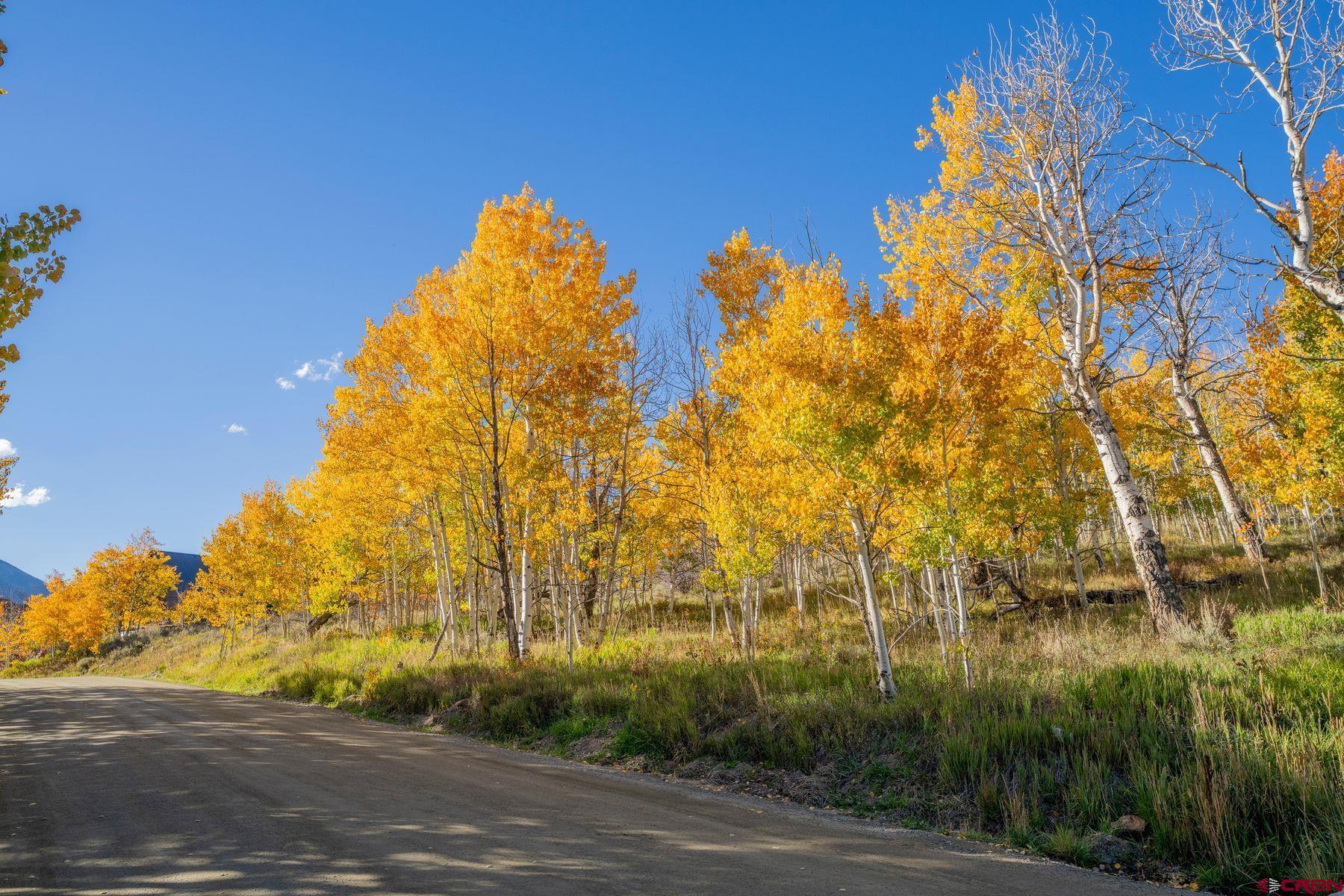 684 Zeligman Street Crested Butte, CO 81224 - Photo 16 of 18 a view of a yard and basketball court