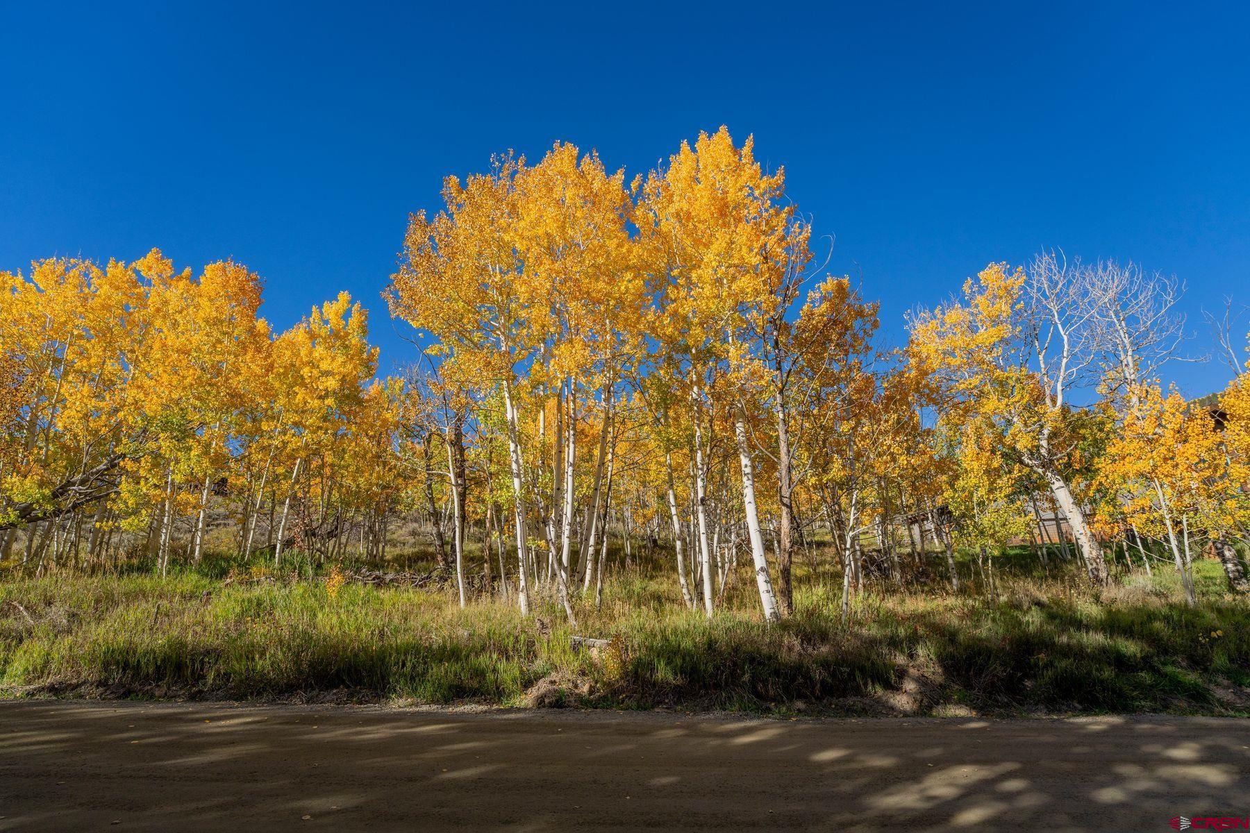 684 Zeligman Street Crested Butte, CO 81224 - Photo 17 of 18