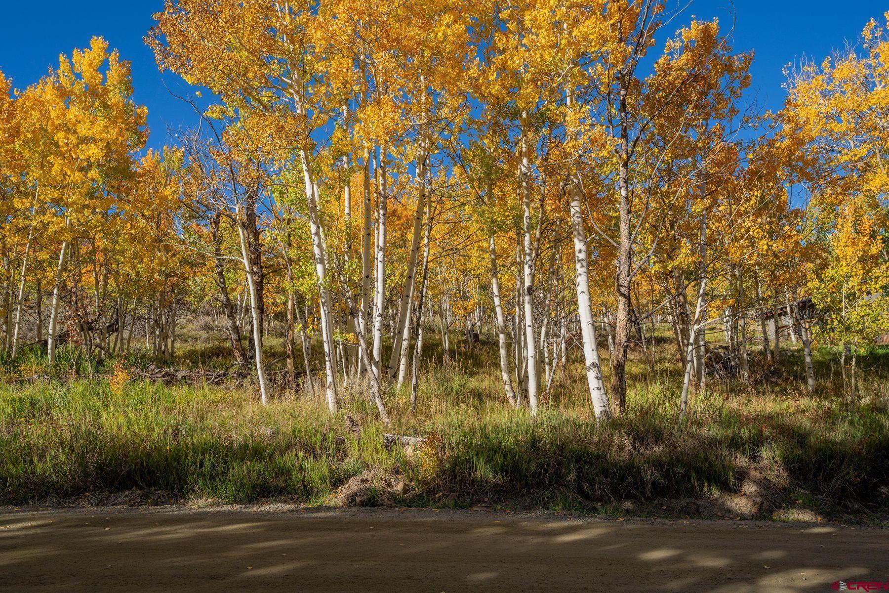 684 Zeligman Street Crested Butte, CO 81224 - Photo 3 of 18 a view of a yard