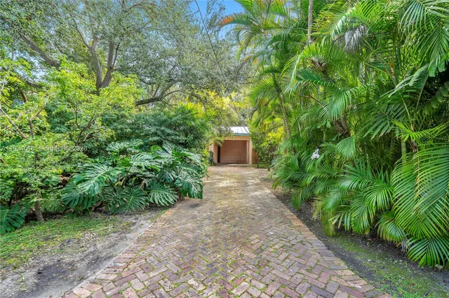 a view of a yard with plants and a trees