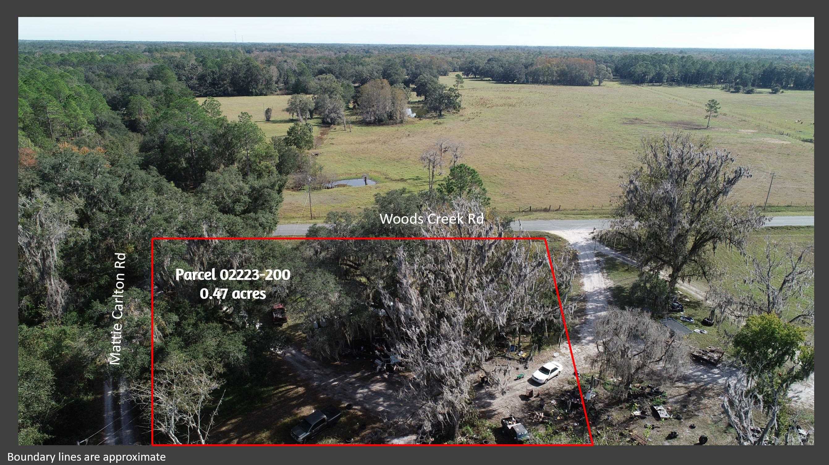 2488 Mattie Carlton Road Perry, FL 32347 - Photo 1 of 12