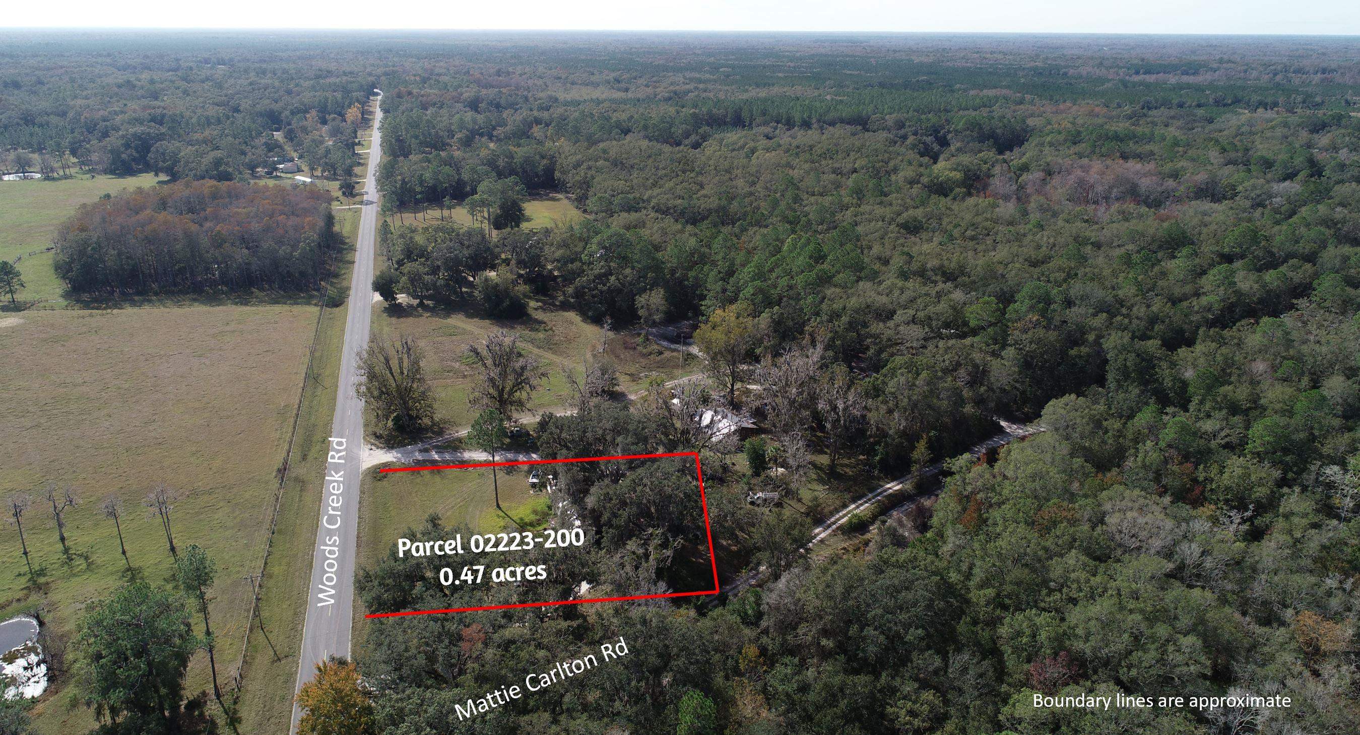2488 Mattie Carlton Road Perry, FL 32347 - Photo 11 of 12