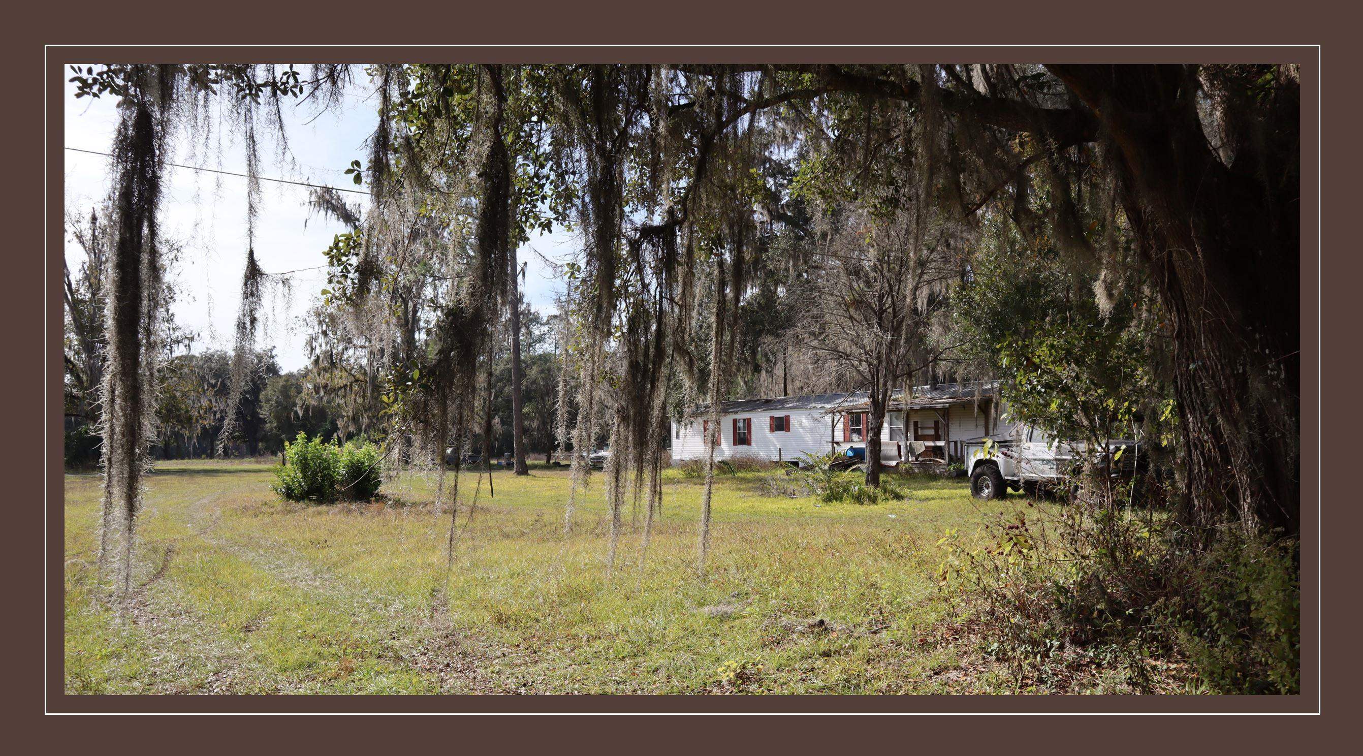 2488 Mattie Carlton Road Perry, FL 32347 - Photo 5 of 12