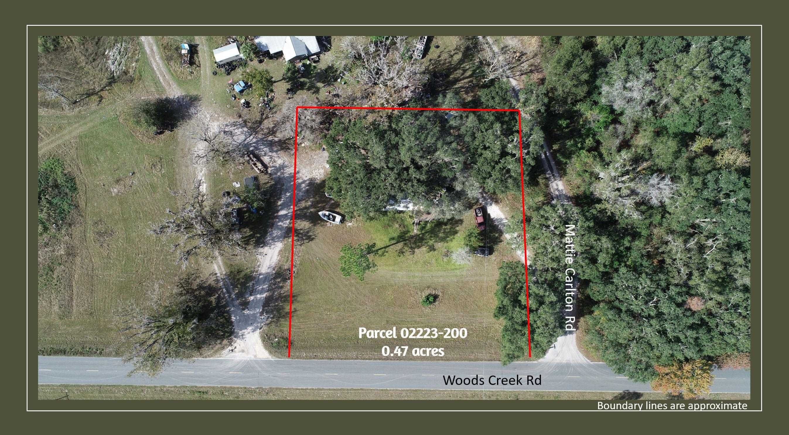 2488 Mattie Carlton Road Perry, FL 32347 - Photo 6 of 12