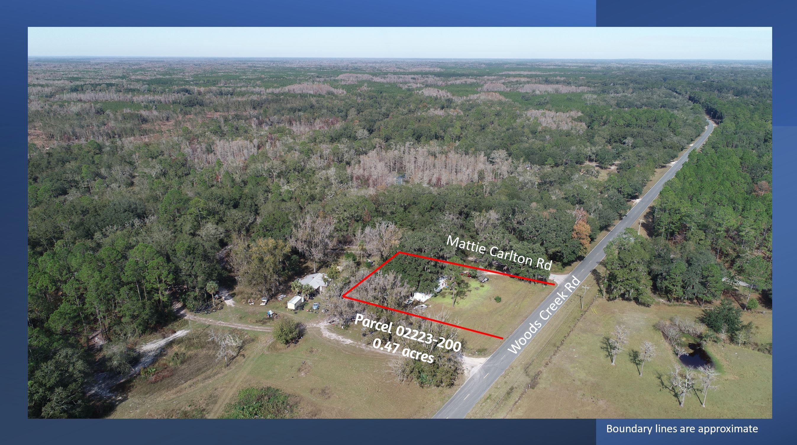 2488 Mattie Carlton Road Perry, FL 32347 - Photo 9 of 12