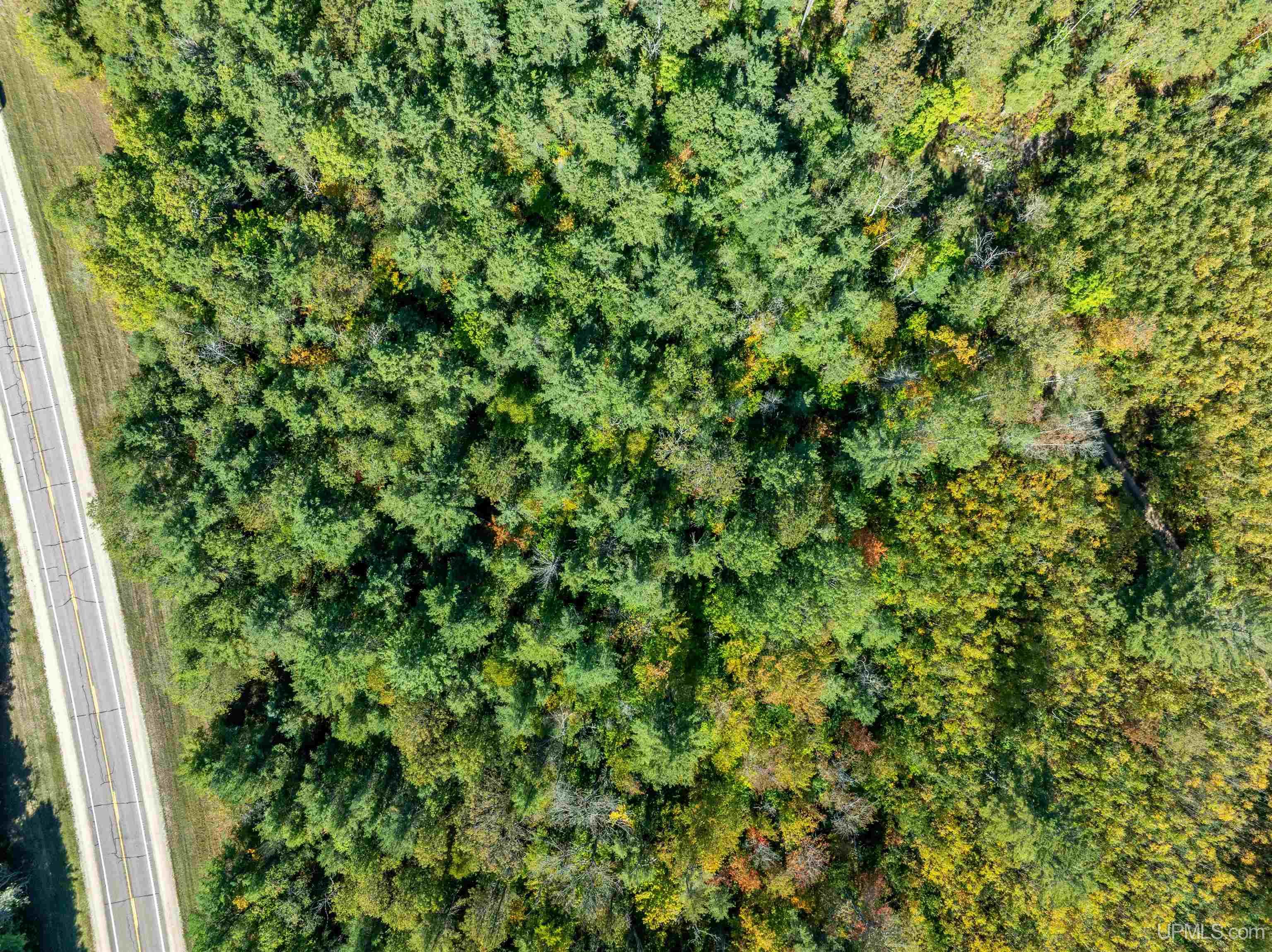 8668 M-94 Road Manistique, MI 49854 - Photo 11 of 12