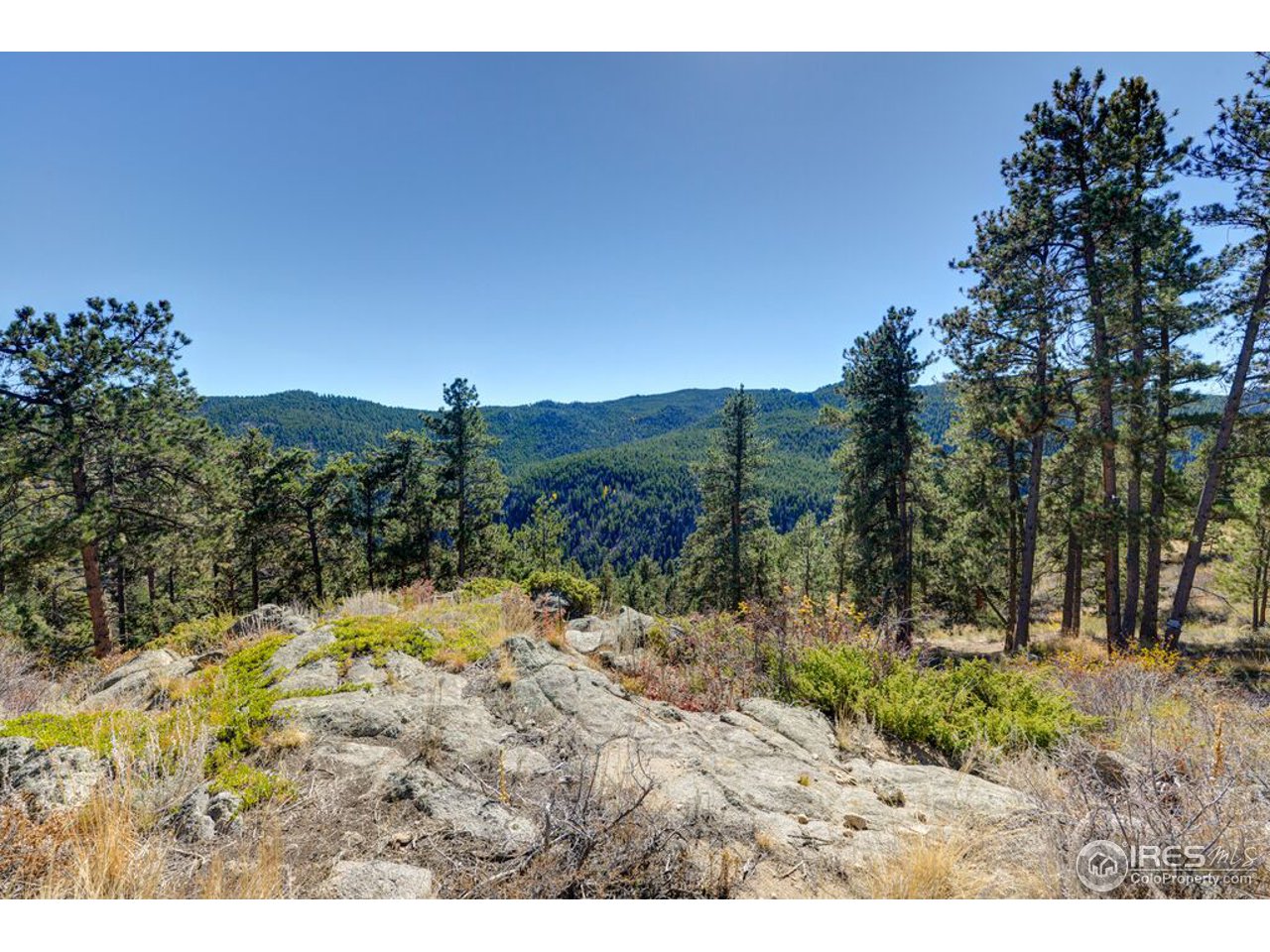 3492 Ridge Road Nederland, CO 80466 - Photo 16 of 18