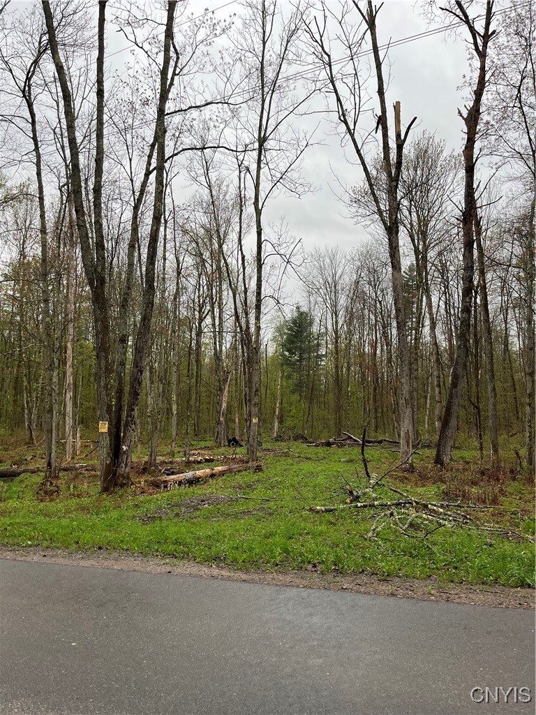 0 Chase Road Camden, NY 13316 - Photo 1 of 1 Gallery Image 1
