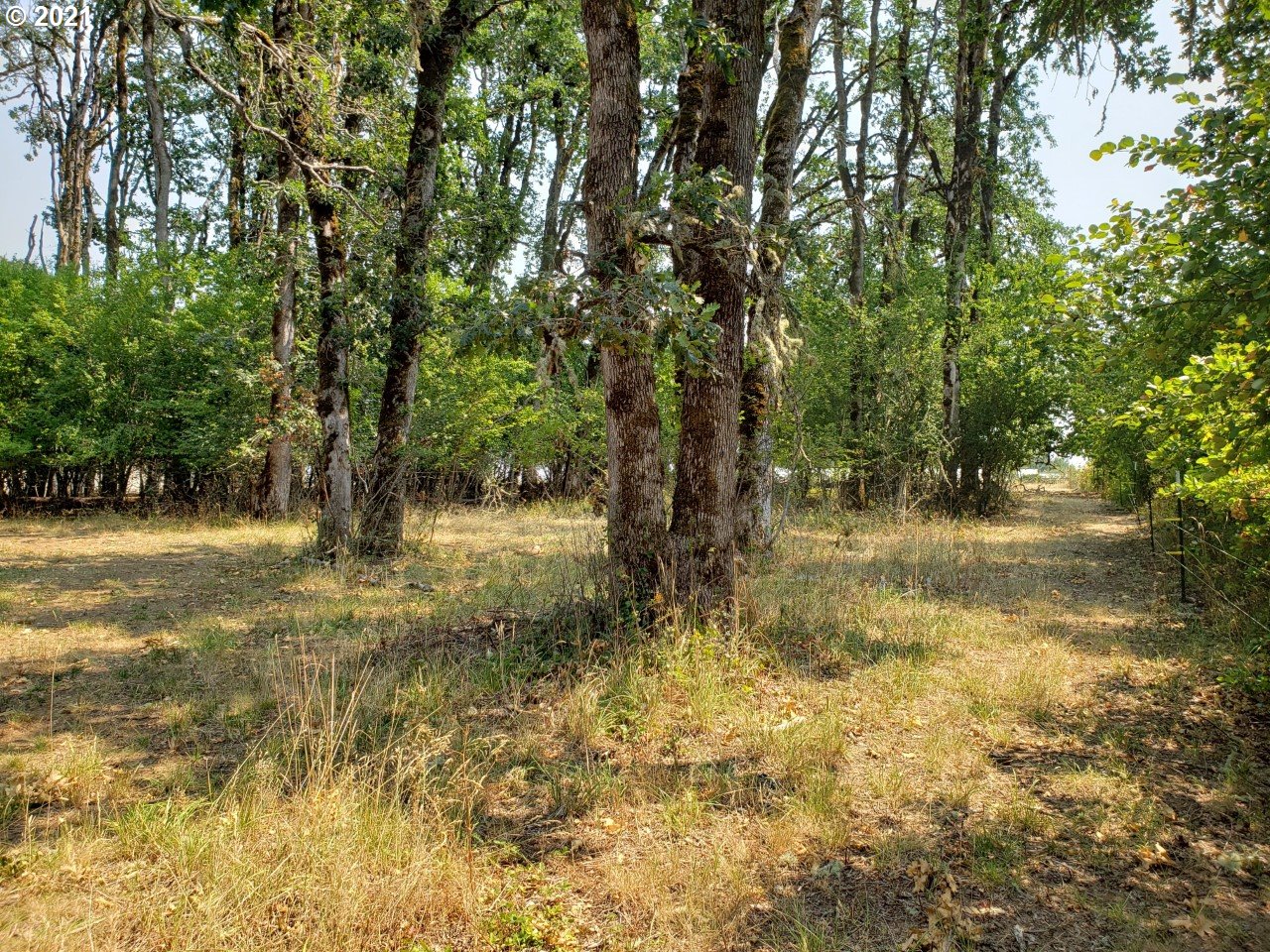 6845 Red Prairie Road Sheridan, OR 97378 - Photo 22 of 32