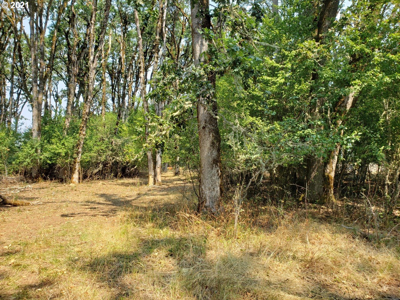 6845 Red Prairie Road Sheridan, OR 97378 - Photo 26 of 32