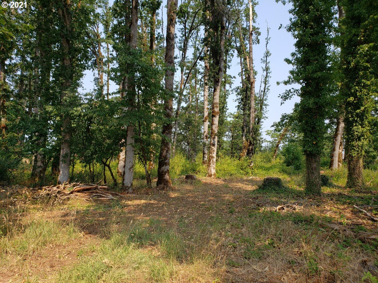 6845 Red Prairie Road Sheridan, OR 97378 - Photo 30 of 32