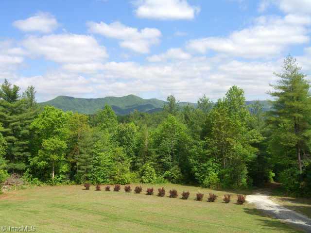 166 Holly Ridge Road Cana, VA 24317 - Photo 9 of 9 Other. mountain view