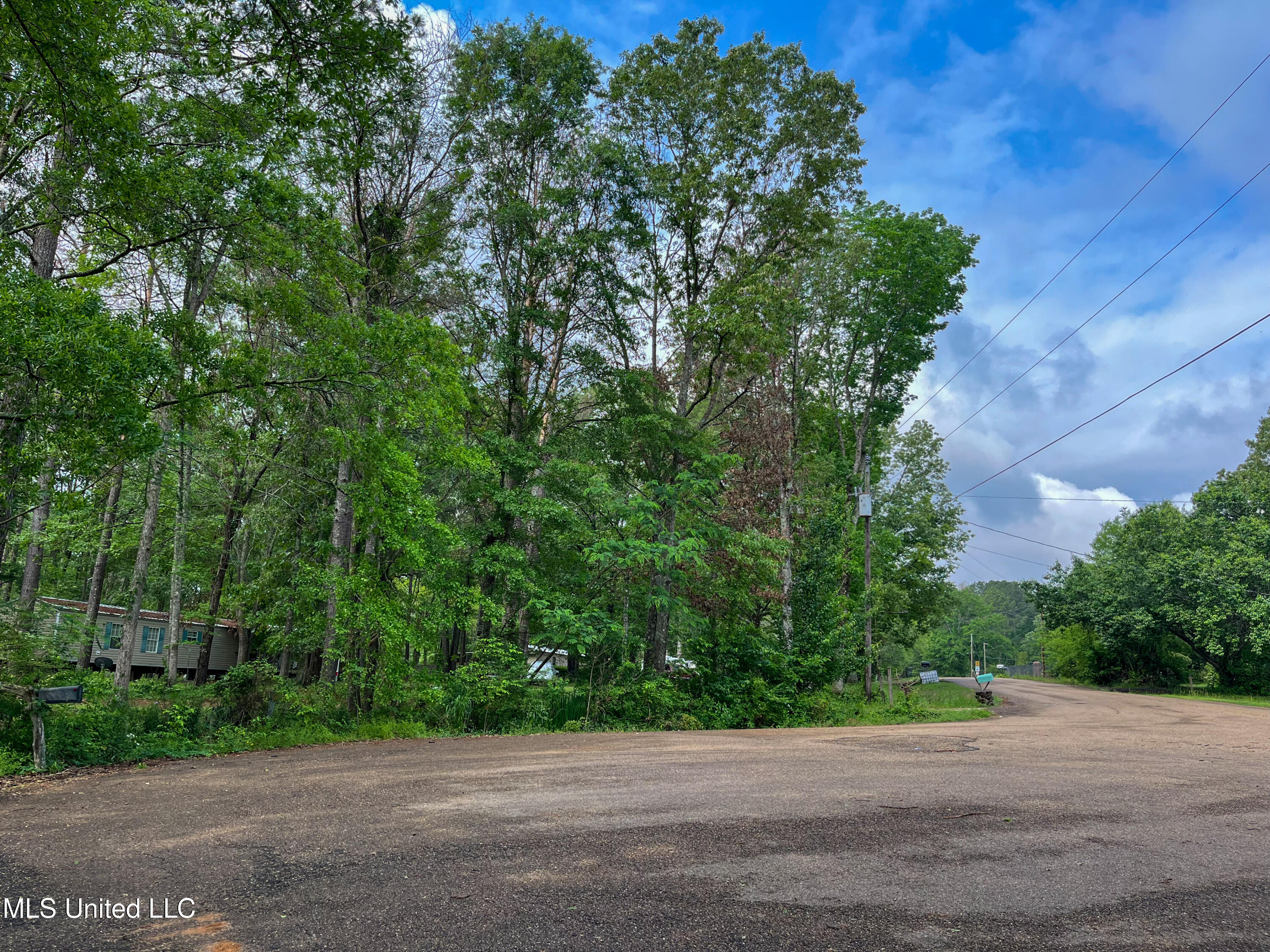 130 Horseshoe Circle Brandon, MS 39047 - Photo 24 of 24 IMG_6551