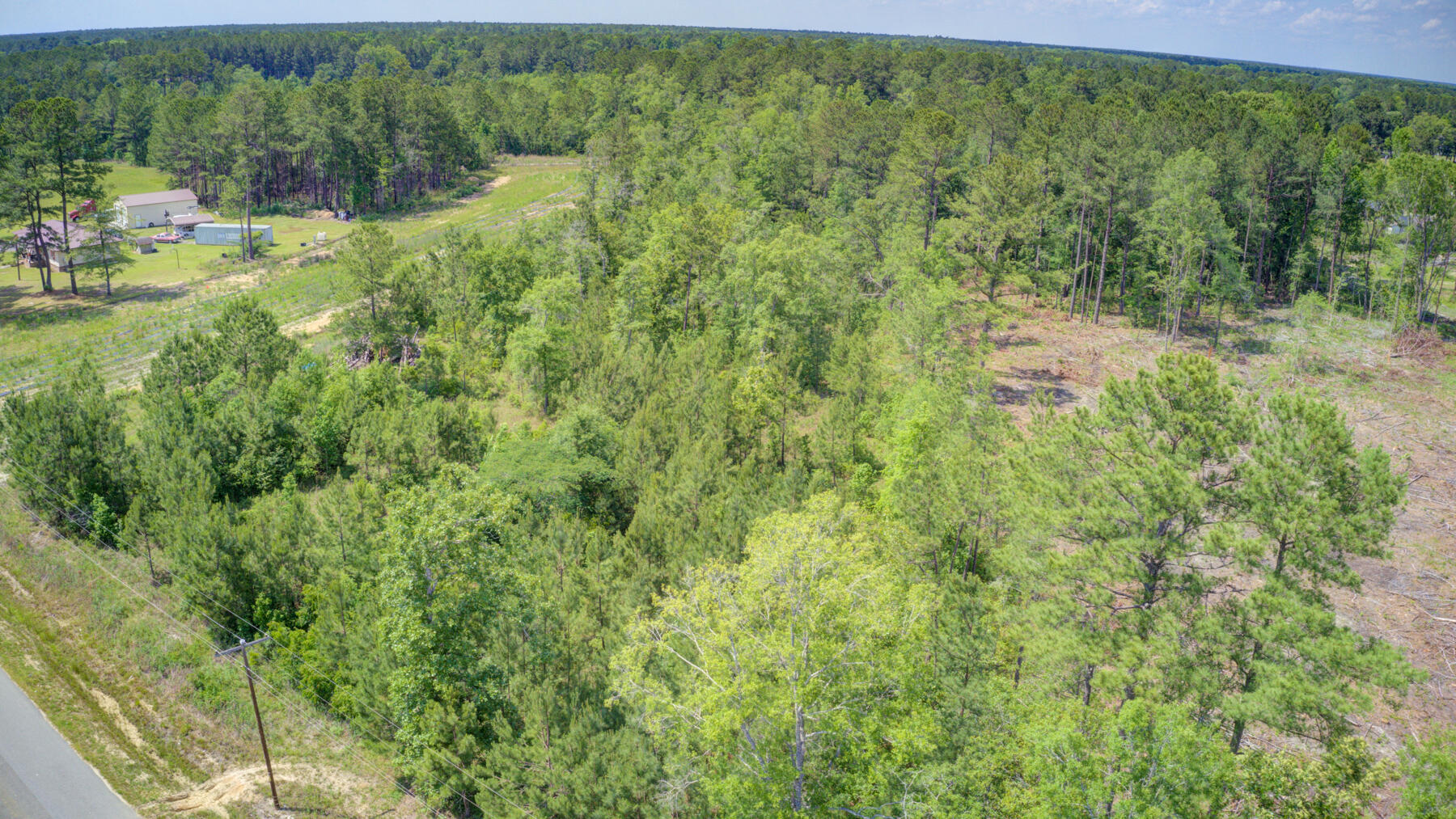 0 Spring Pond Road Bonneau, SC 29431 - Photo 1 of 20 0 Spring Pond Rd, Bonneau SC (4)