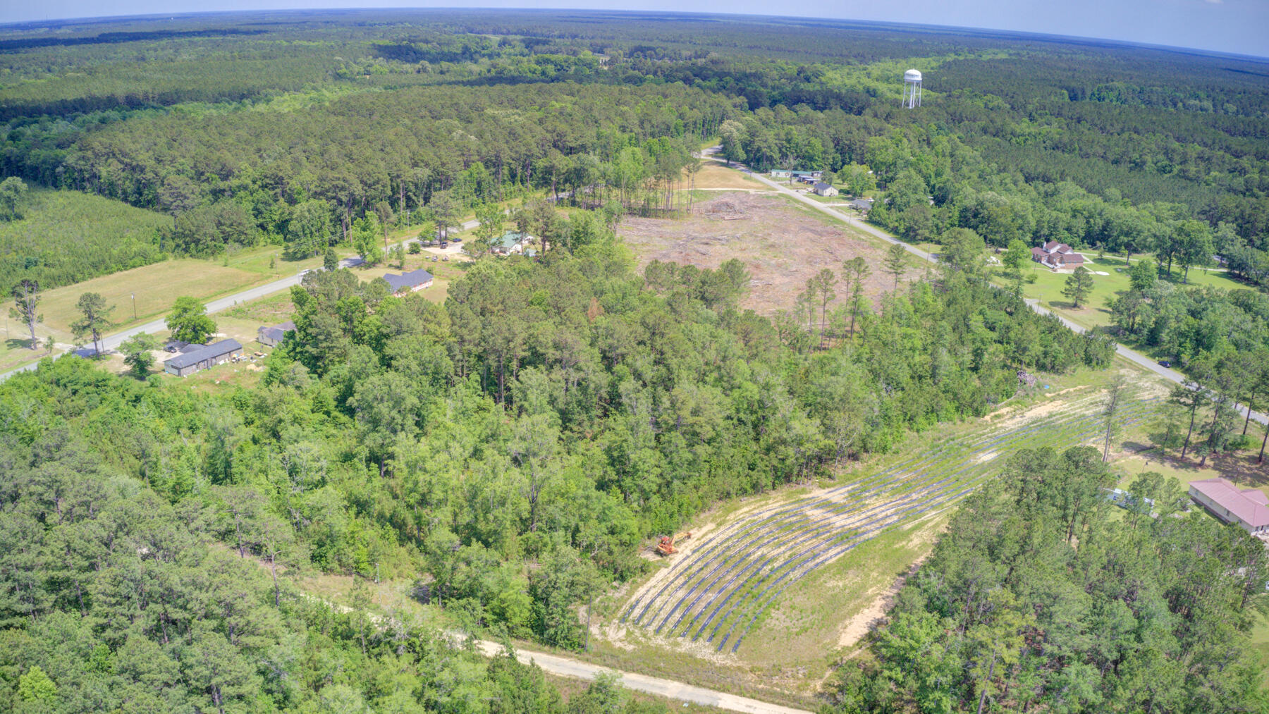 0 Spring Pond Road Bonneau, SC 29431 - Photo 11 of 20 0 Spring Pond Rd, Bonneau SC (10)