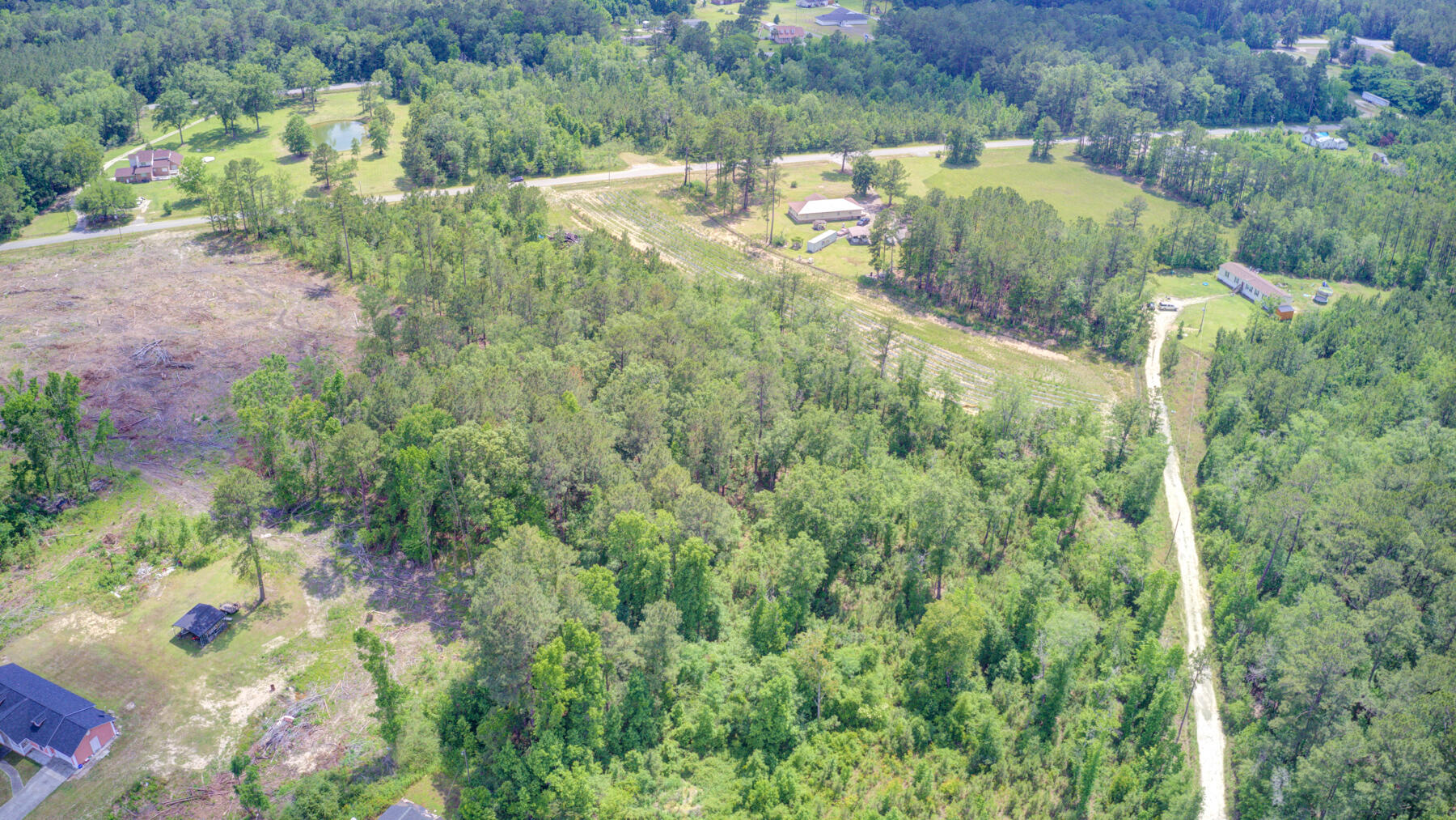 0 Spring Pond Road Bonneau, SC 29431 - Photo 13 of 20 0 Spring Pond Rd, Bonneau SC (12)