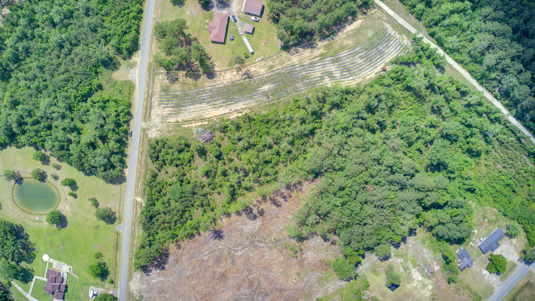 0 Spring Pond Road Bonneau, SC 29431 - Photo 15 of 20 0 Spring Pond Rd, Bonneau SC (14)