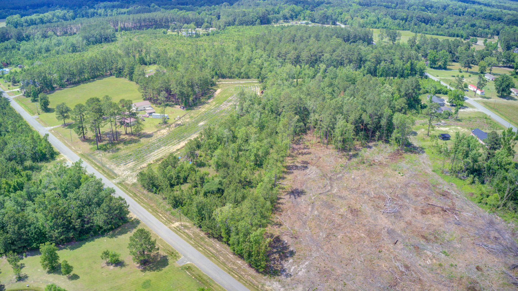 0 Spring Pond Road Bonneau, SC 29431 - Photo 16 of 20 0 Spring Pond Rd, Bonneau SC (15)