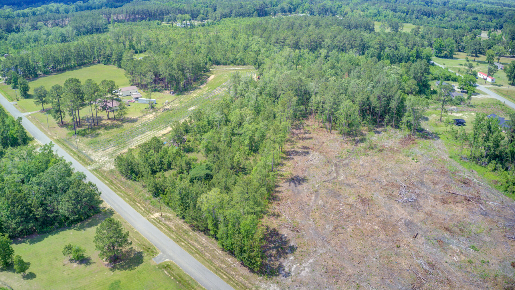 0 Spring Pond Road Bonneau, SC 29431 - Photo 17 of 20 0 Spring Pond Rd, Bonneau SC (16)