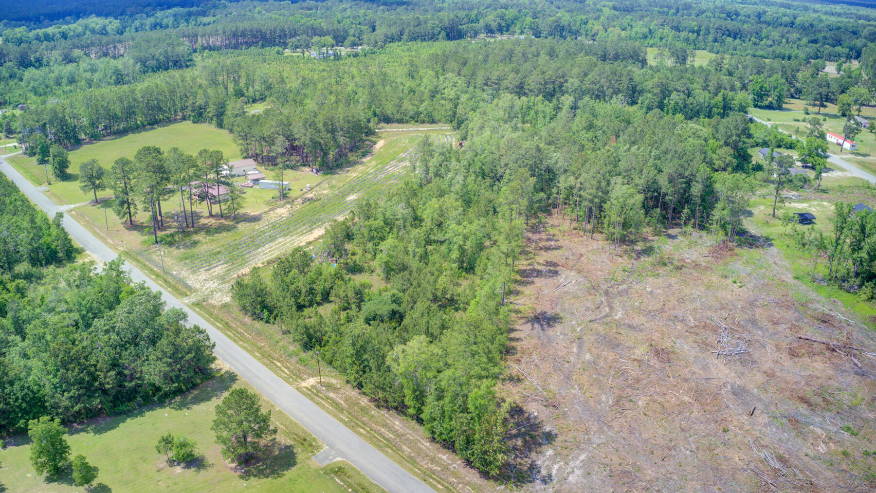 0 Spring Pond Road Bonneau, SC 29431 - Photo 18 of 20 0 Spring Pond Rd, Bonneau SC (17)