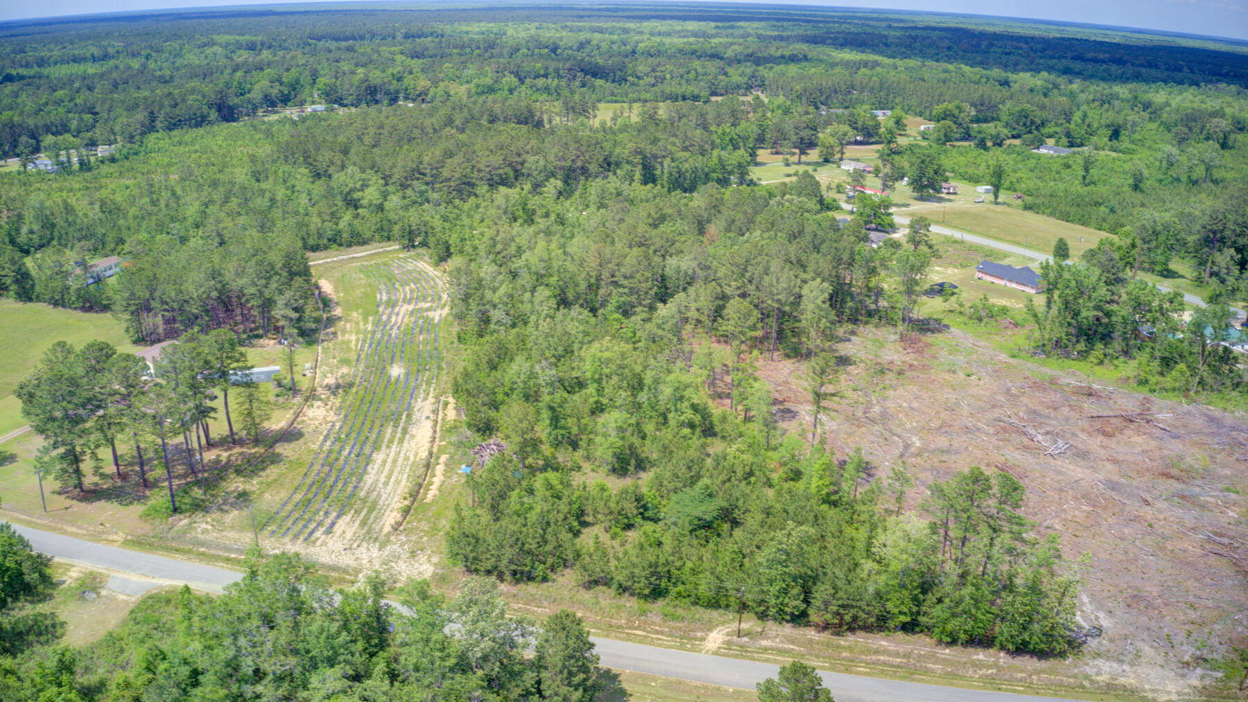0 Spring Pond Road Bonneau, SC 29431 - Photo 19 of 20 0 Spring Pond Rd, Bonneau SC (18)
