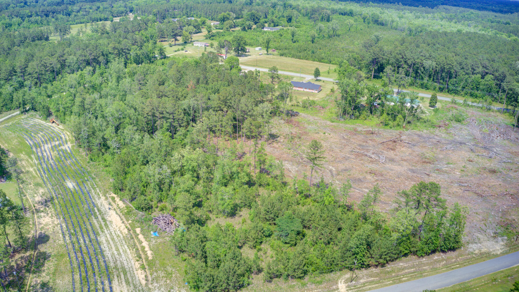 0 Spring Pond Road Bonneau, SC 29431 - Photo 20 of 20 0 Spring Pond Rd, Bonneau SC (19)