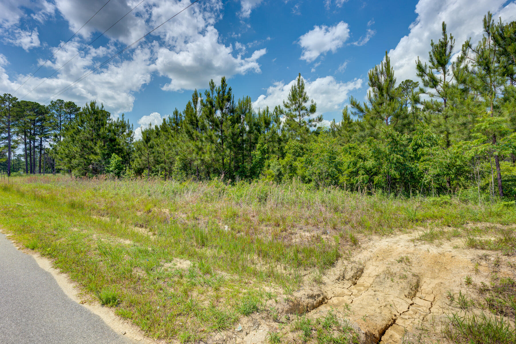 0 Spring Pond Road Bonneau, SC 29431 - Photo 2 of 20 0 Spring Pond Rd, Bonneau SC (1)