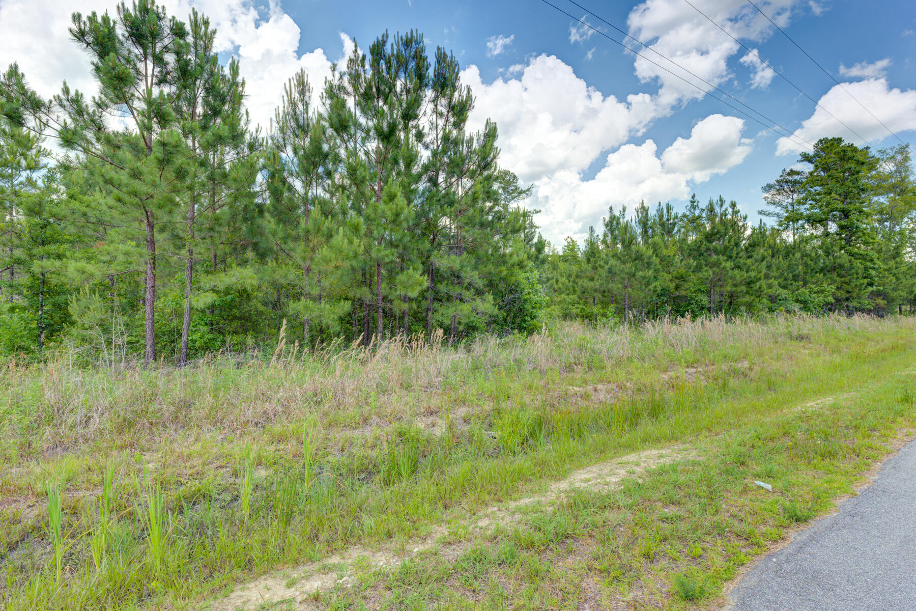 0 Spring Pond Road Bonneau, SC 29431 - Photo 5 of 20 0 Spring Pond Rd, Bonneau SC (3)