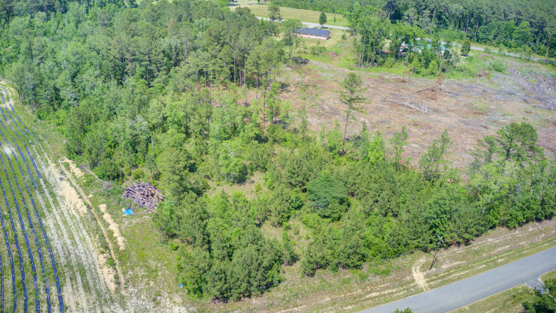 0 Spring Pond Road Bonneau, SC 29431 - Photo 7 of 20 0 Spring Pond Rd, Bonneau SC (6)