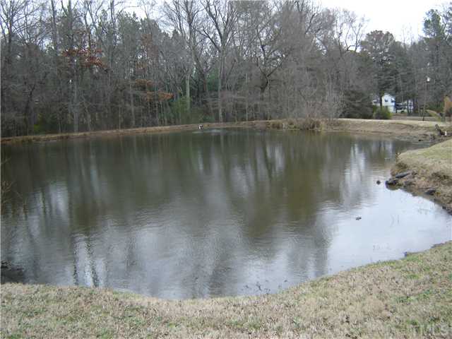 2503 Joyner Road Durham, NC 27704 - Photo 3 of 7 Pond
