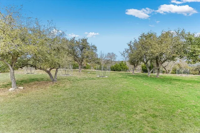 a view of a green field