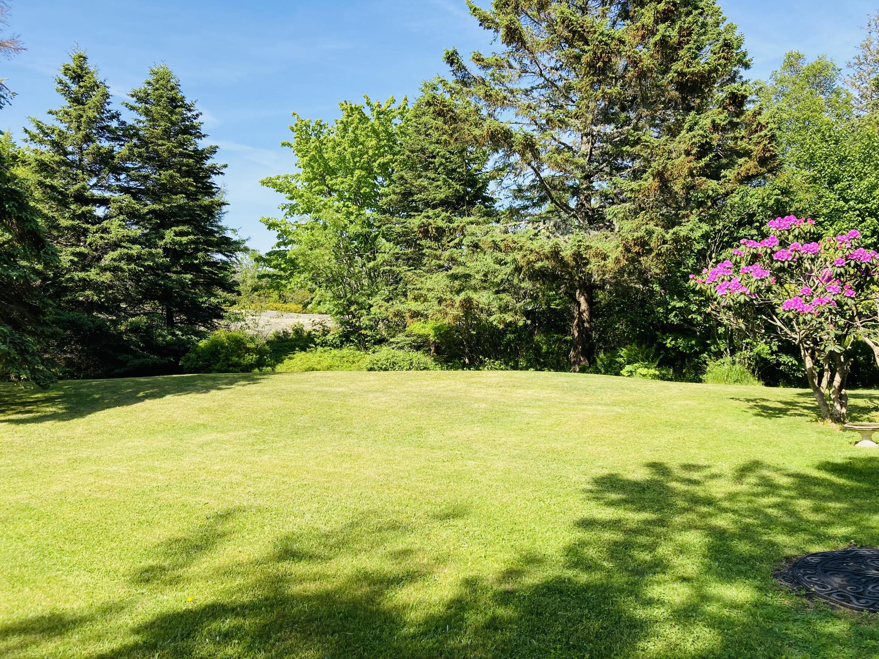 68 Crowley Island Road Corea, ME 04624 - Photo 4 of 24 Back yard to firepit.