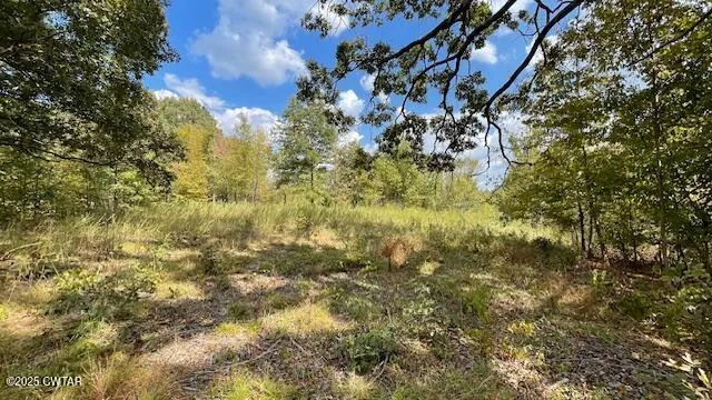 a view of lake from under an umbrella