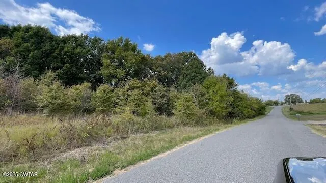 a view of a lake from a yard
