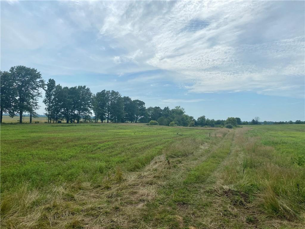 0 Baseline Road Bloomfield, IN 47465 - Photo 3 of 12