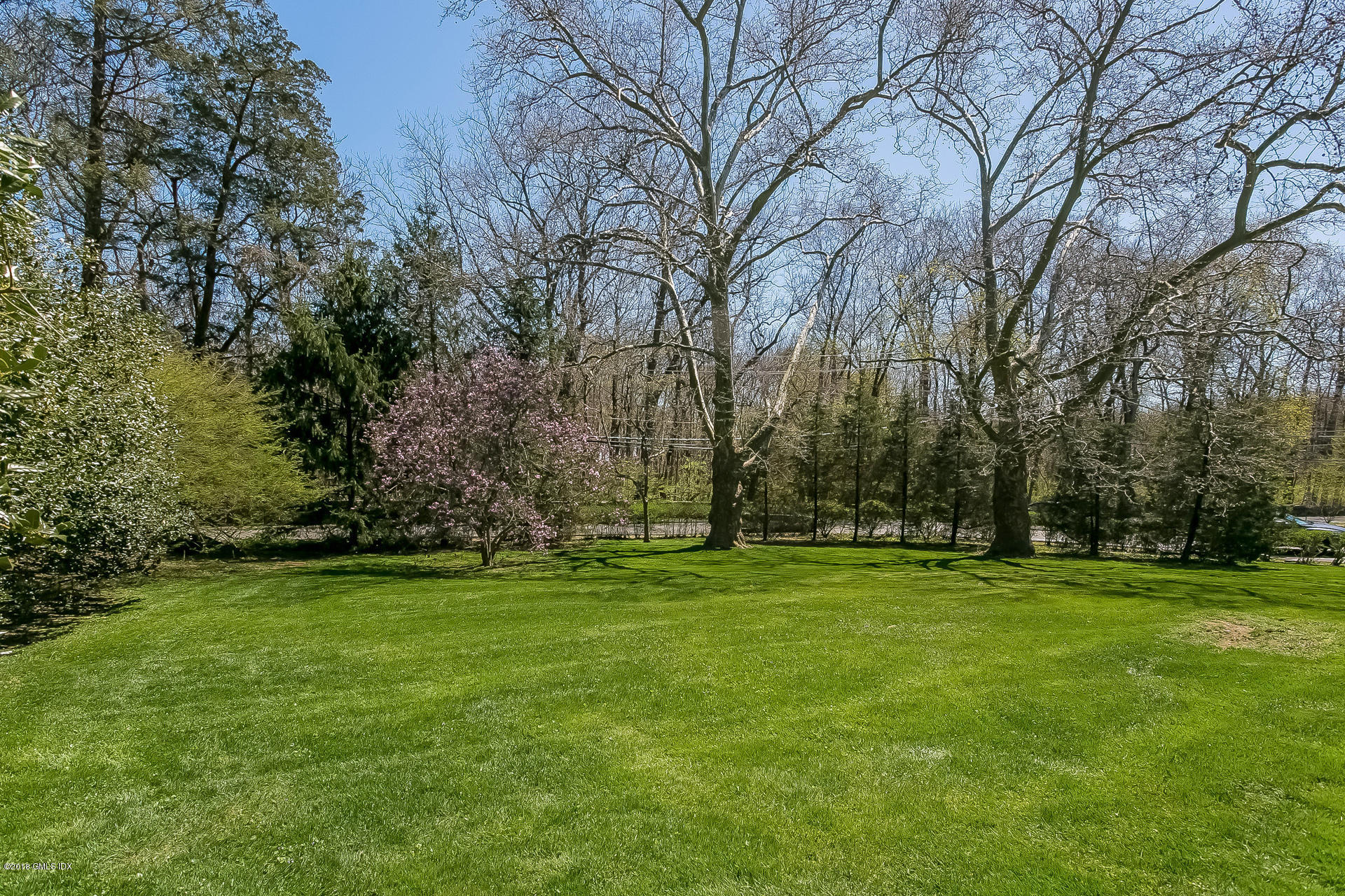 66 Bruce Park Drive Greenwich, CT 06830 - Photo 20 of 27 a yard with trees in the background