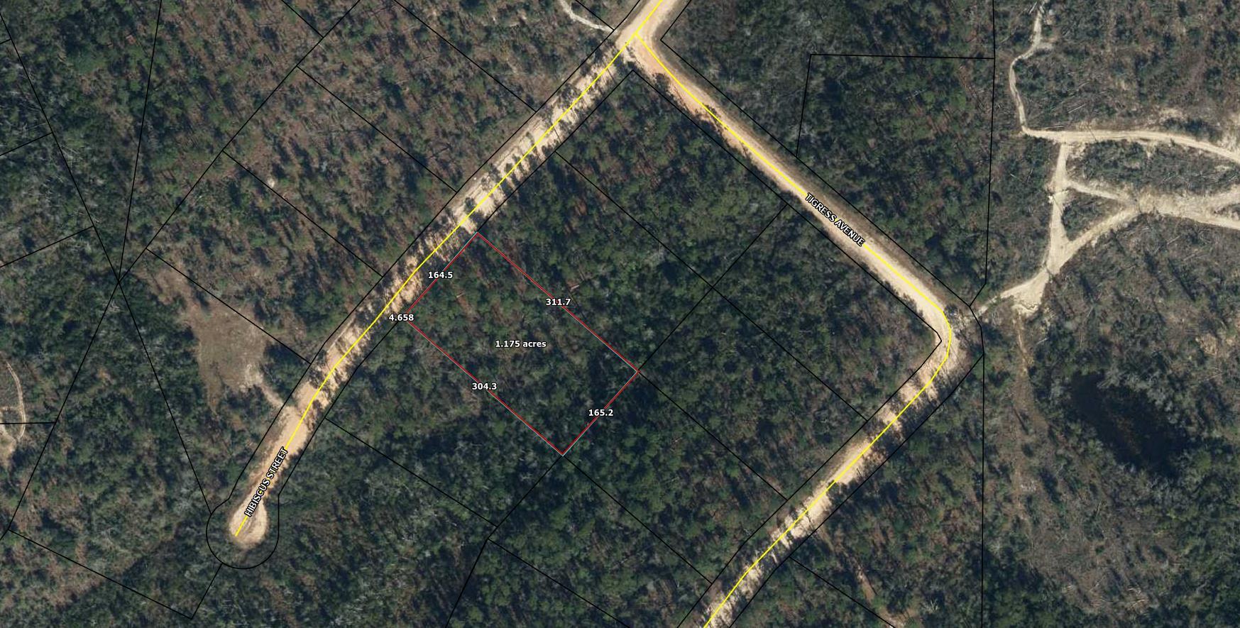 Lot 13 Hibiscus Street Marianna, FL 32448 - Photo 2 of 2