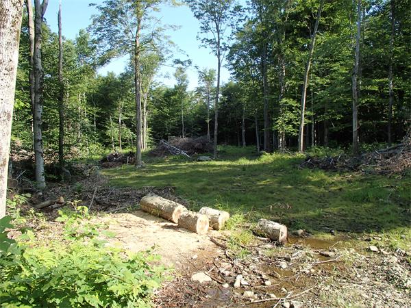Lot 11 Ashfield Road Hawley, MA 01339 - Photo 1 of 17 Gallery Image 1