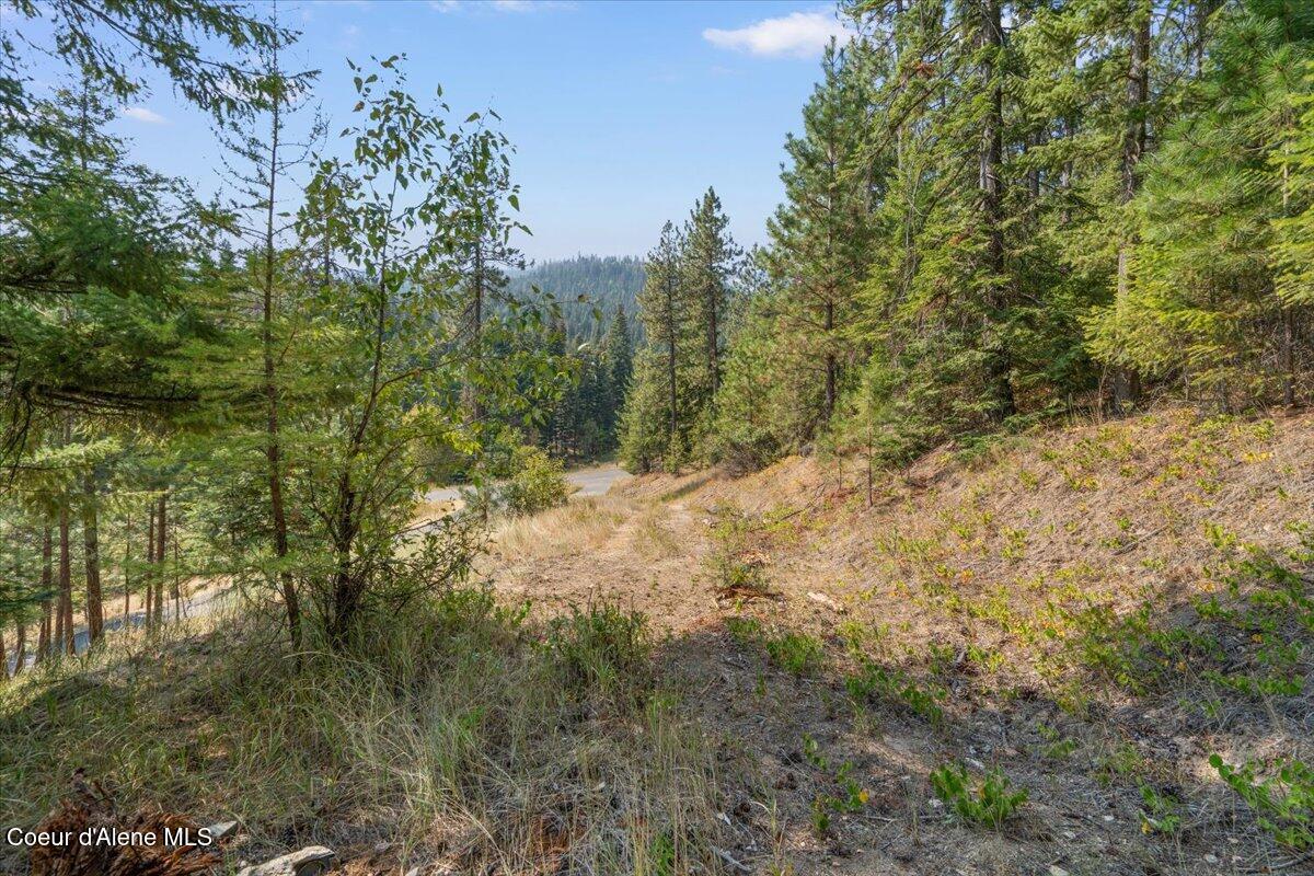 10795 West Bella Ridge Drive Coeur D'Alene, ID 83814 - Photo 11 of 55 02-10795 W Bella Ridge Dr