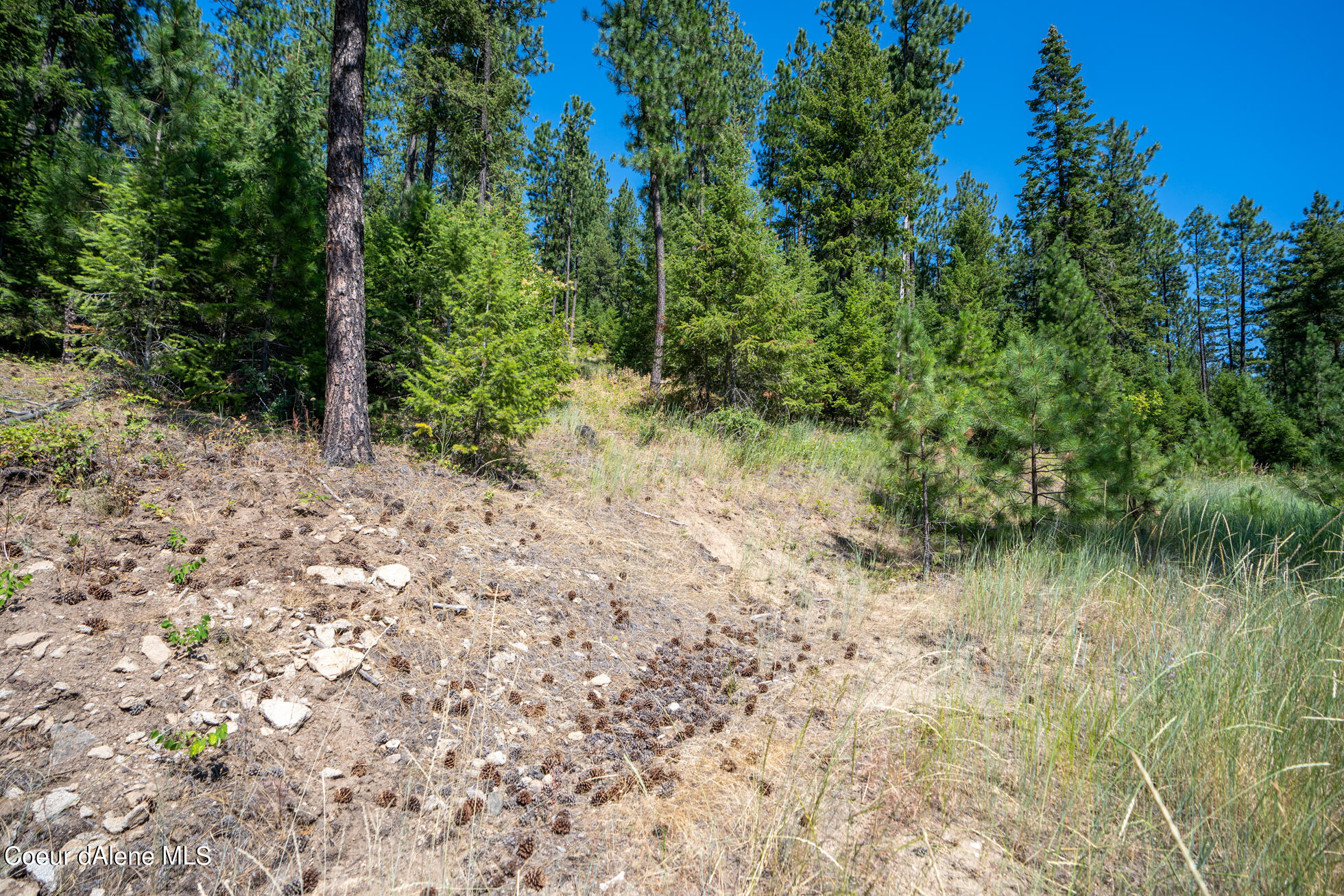 10795 West Bella Ridge Drive Coeur D'Alene, ID 83814 - Photo 15 of 55 Ext 6