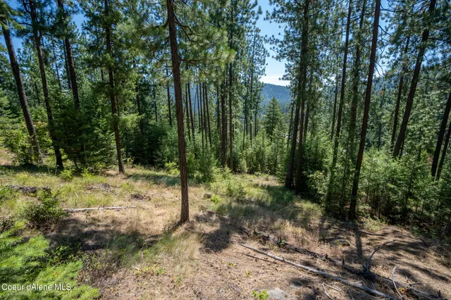 $359,950 | 10795 West Bella Ridge Drive, Coeur D'Alene, ID 83814