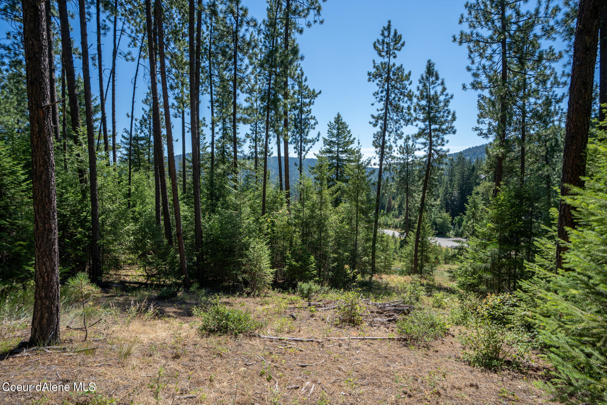 10795 West Bella Ridge Drive Coeur D'Alene, ID 83814 - Photo 21 of 55 Ext 10