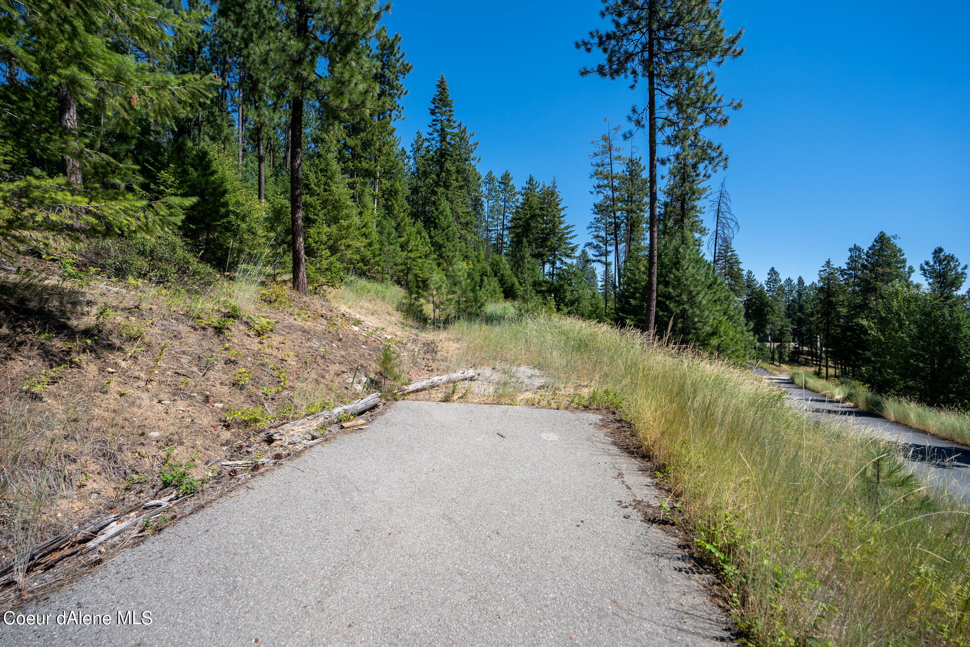 10795 West Bella Ridge Drive Coeur D'Alene, ID 83814 - Photo 22 of 55 Ext 3