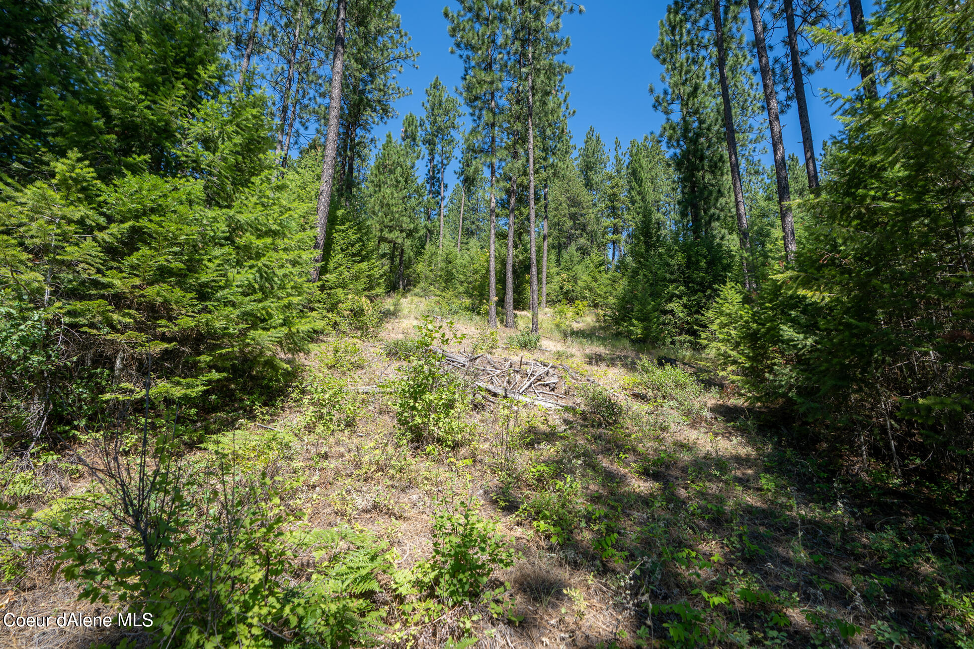 10795 West Bella Ridge Drive Coeur D'Alene, ID 83814 - Photo 26 of 55 Ext 8